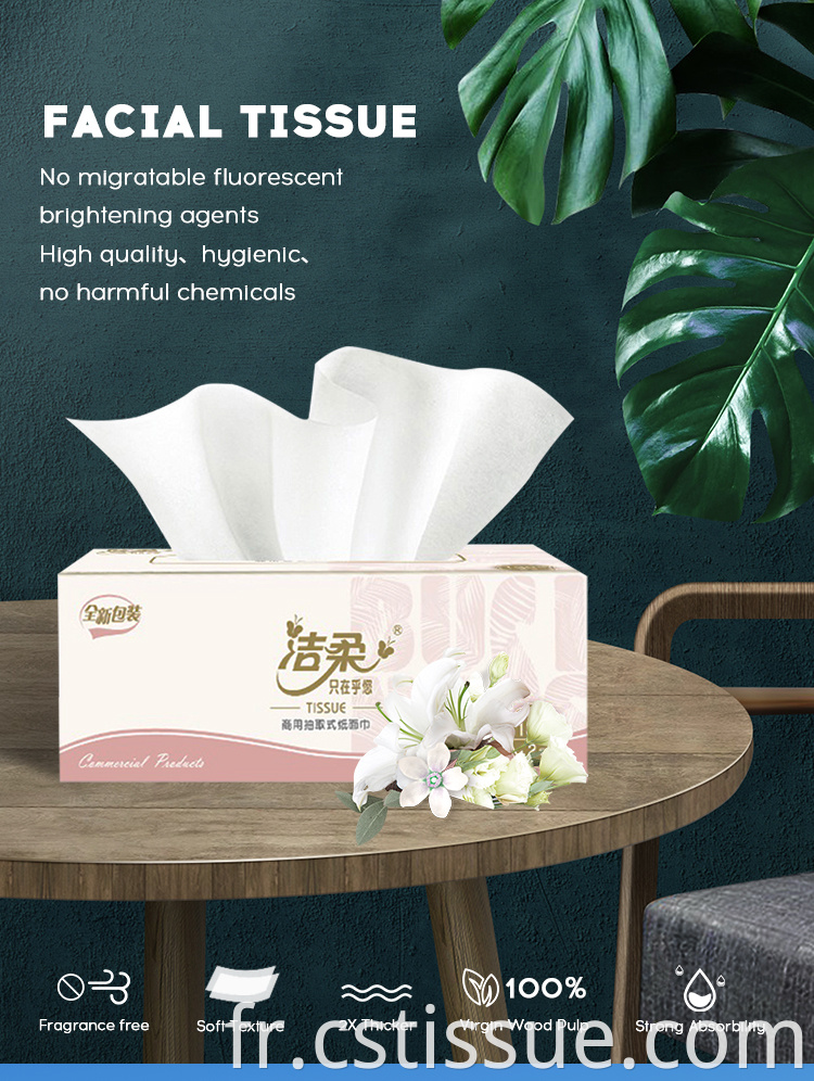 2 Ply Box Facial Tissue